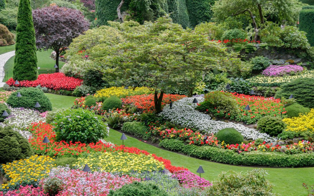 How Gardening is Like Medicine