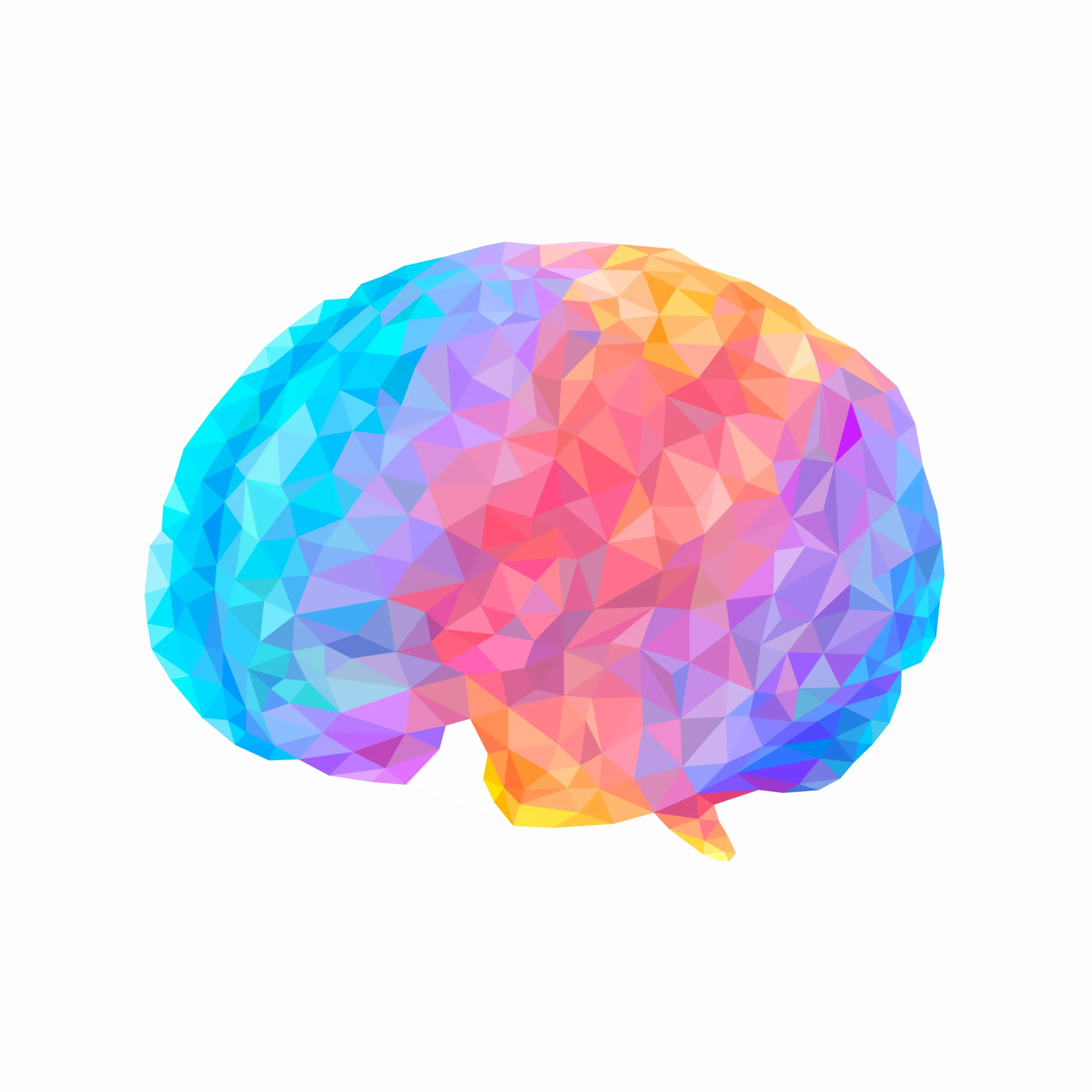 Brain DESIGN your plan